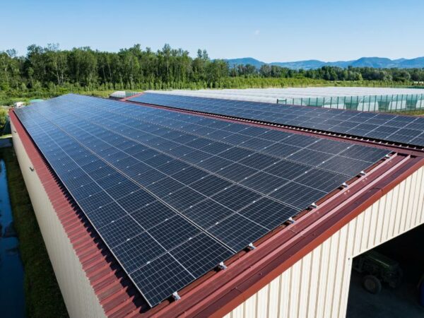 Un installateur photovoltaique a installé des panneaux sur un batiment professionnel à la toiture rouge.